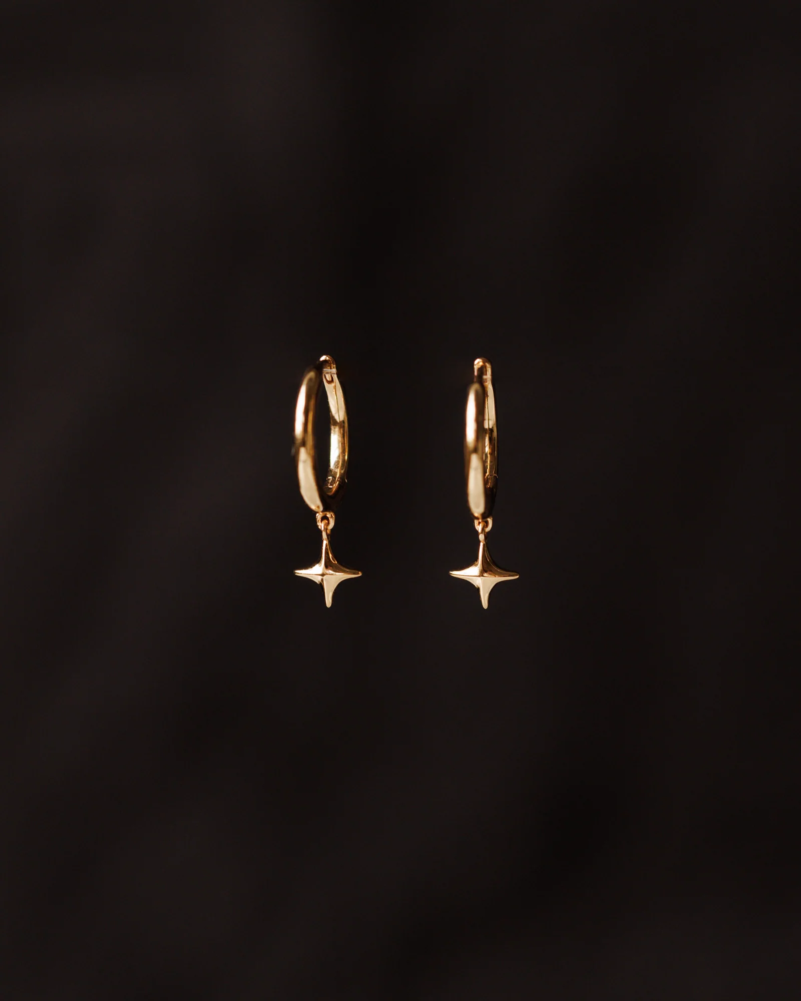Celeste Hoops - Image 4