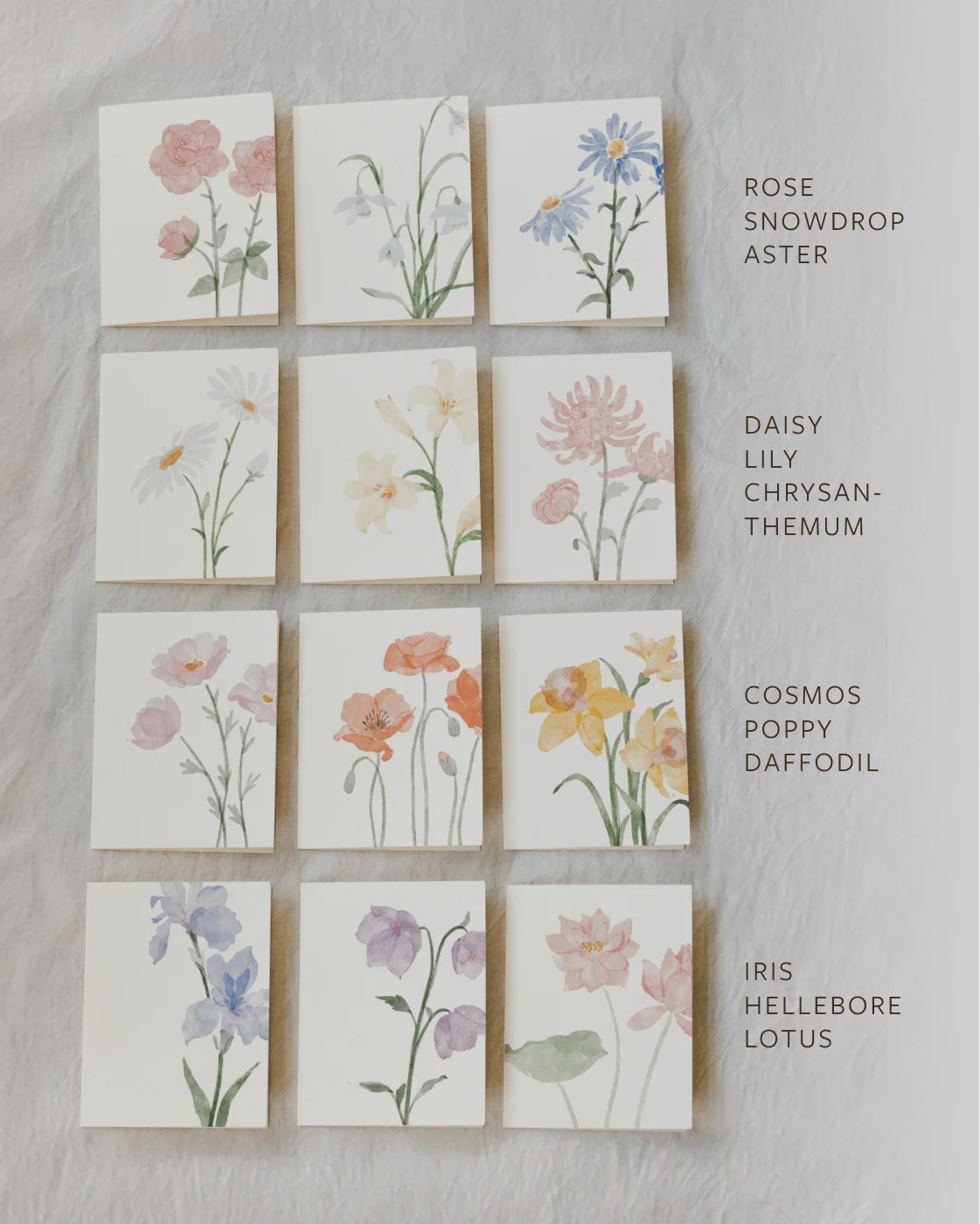 Flora Greeting Card - Image 4