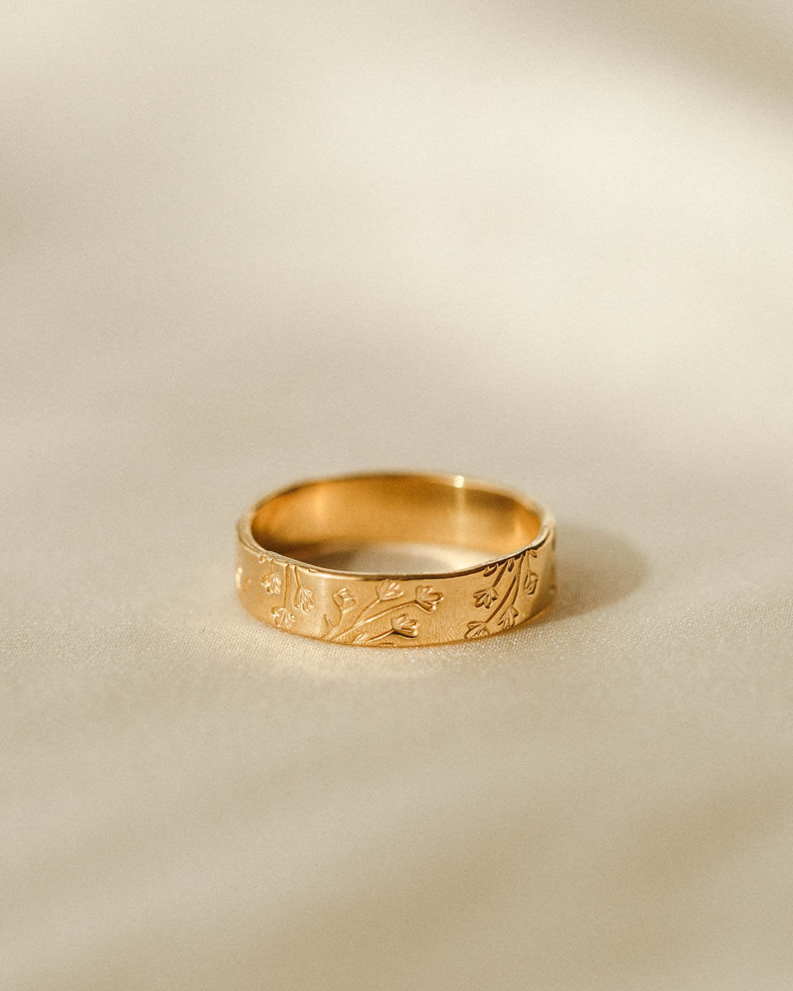 Flora Meuse Band - Image 21