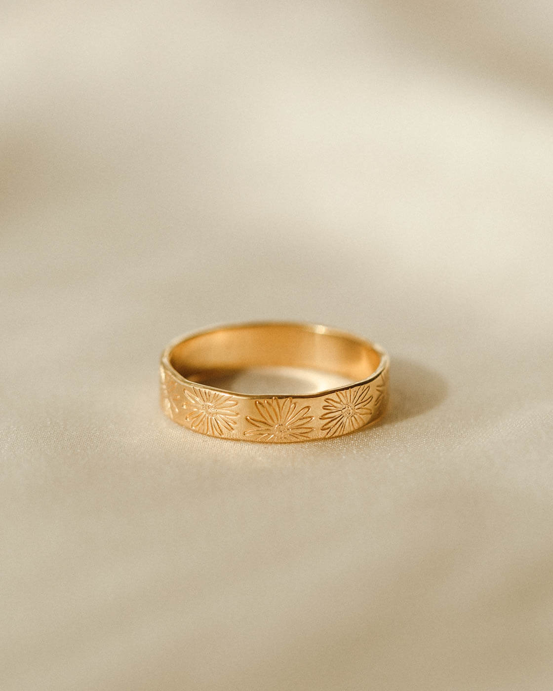 Flora Meuse Band - Image 22