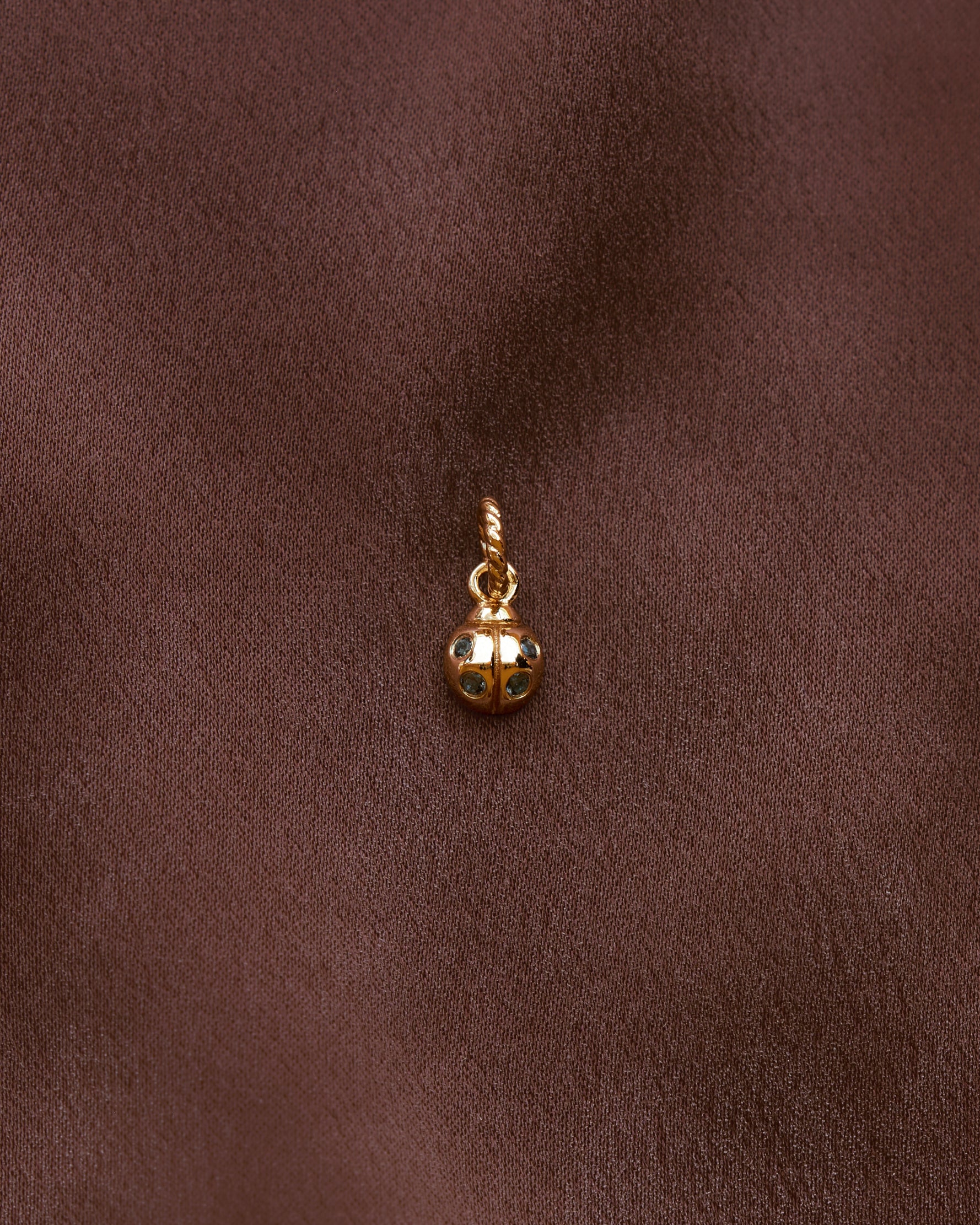 Ladybug Charm