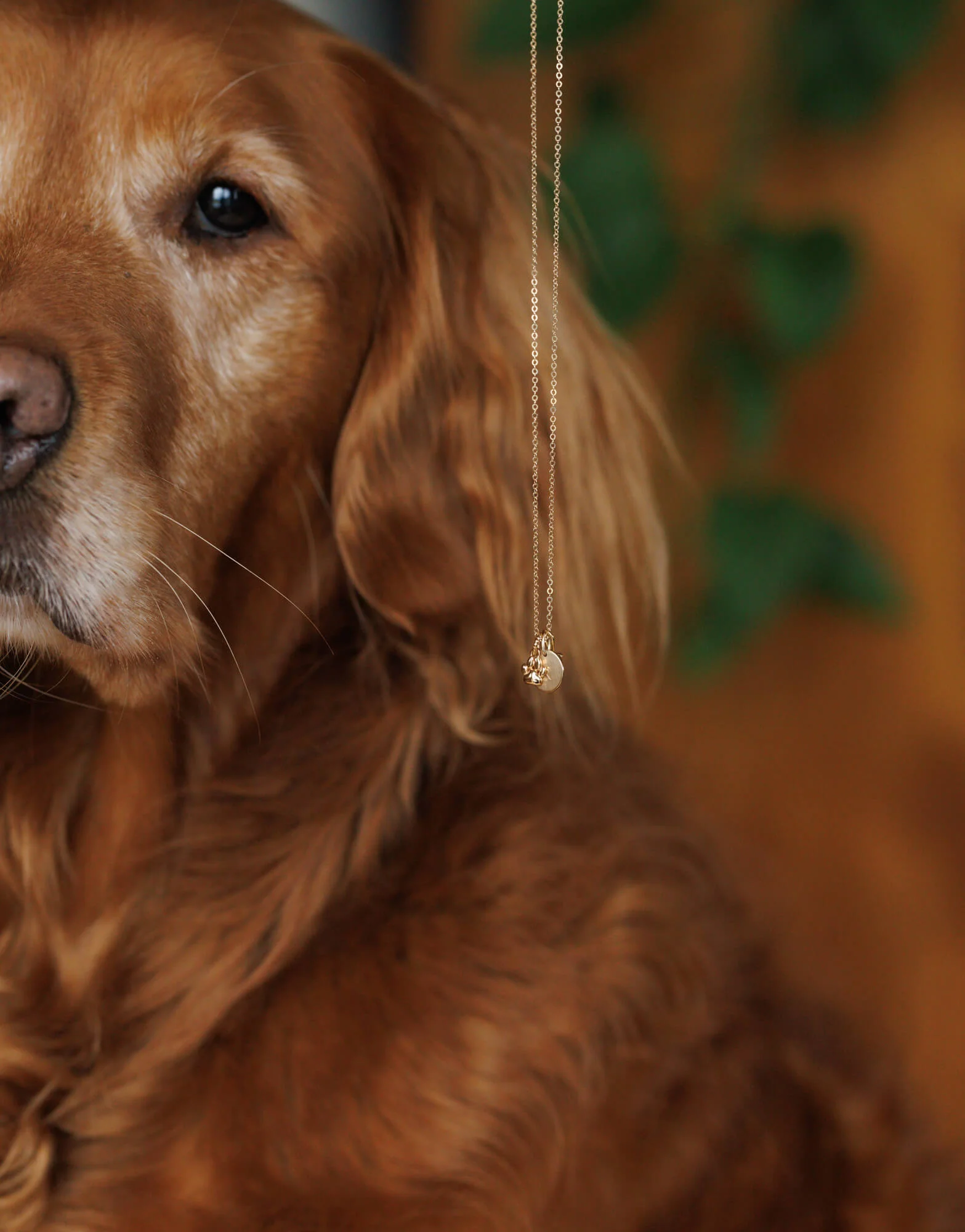 Pet Parent Necklace - Image 3