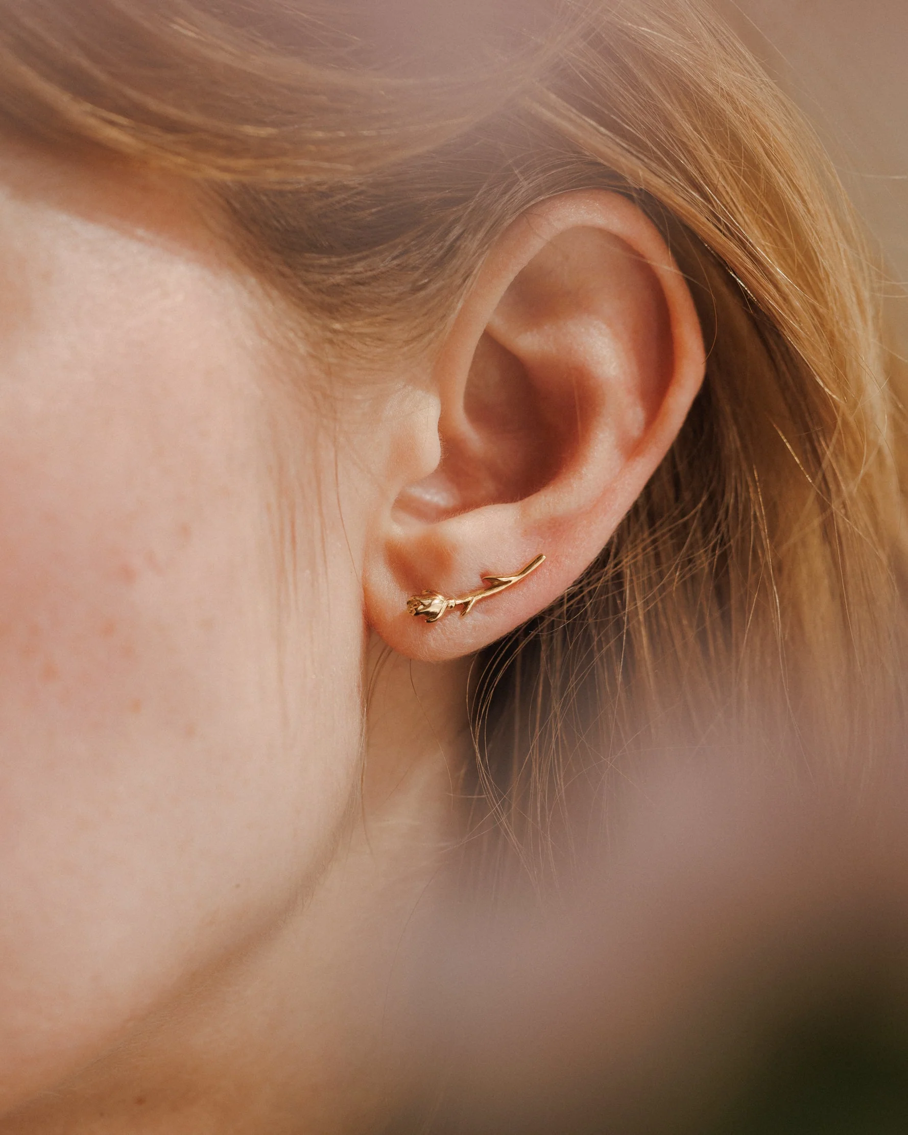 Rose Ear Climber - Image 4