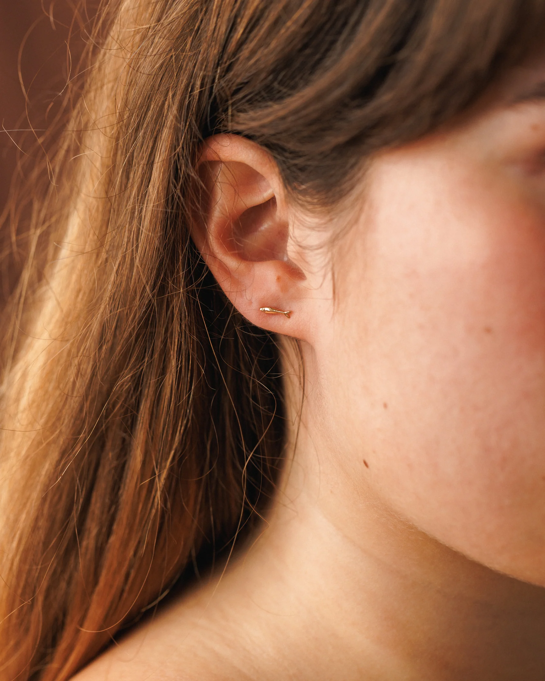 Sardine Studs - Image 4