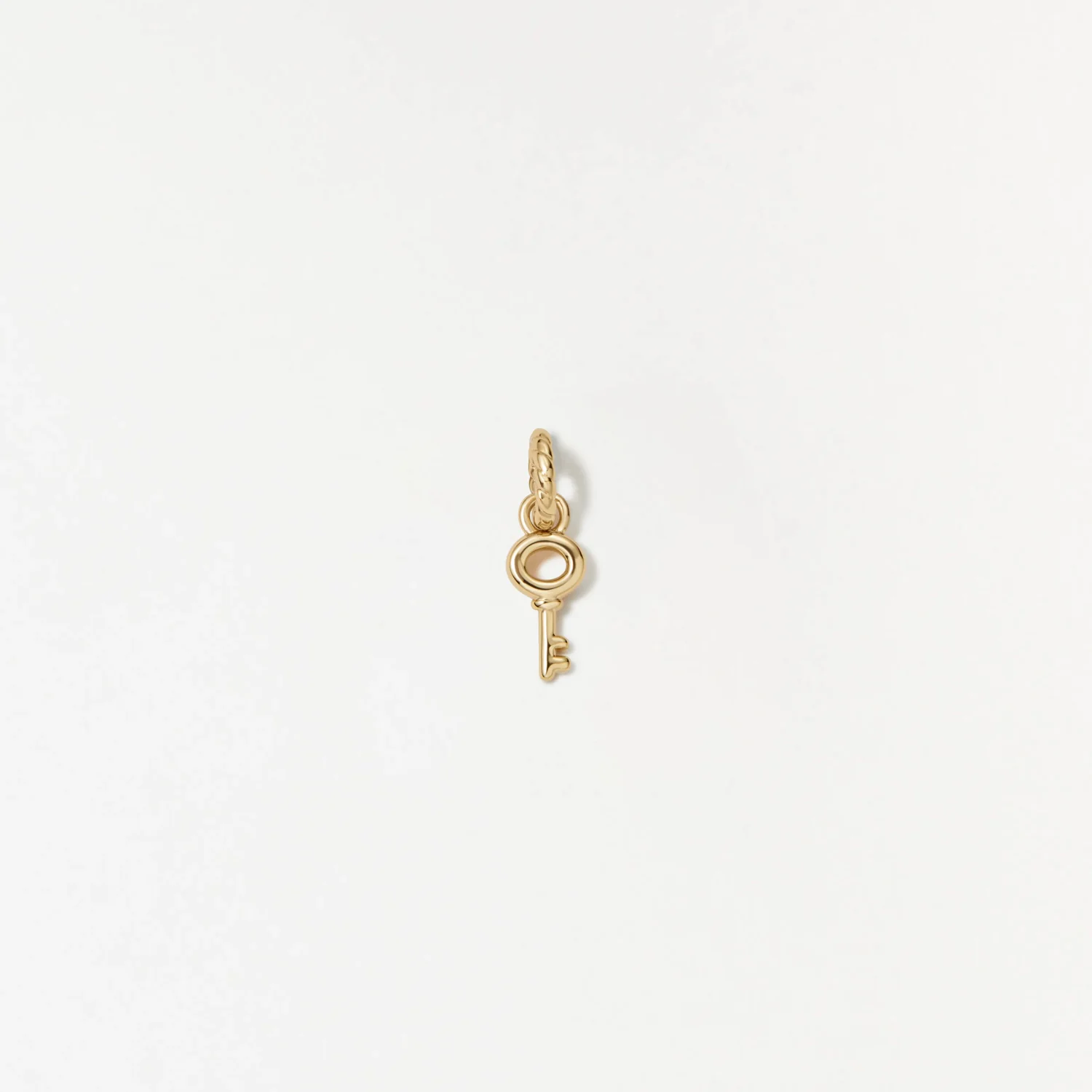 Skeleton Key Charm