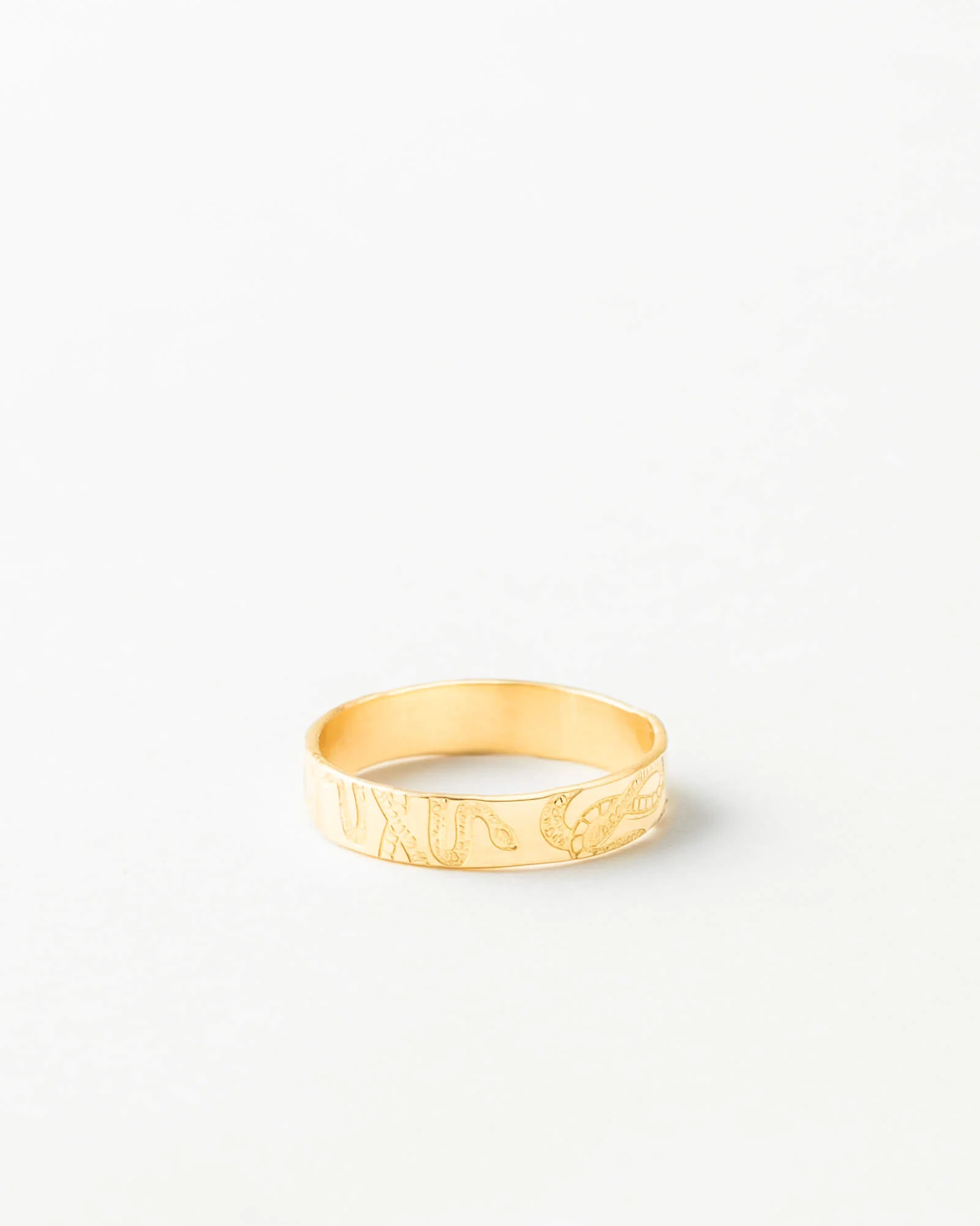 Snake Meuse Band - Image 7