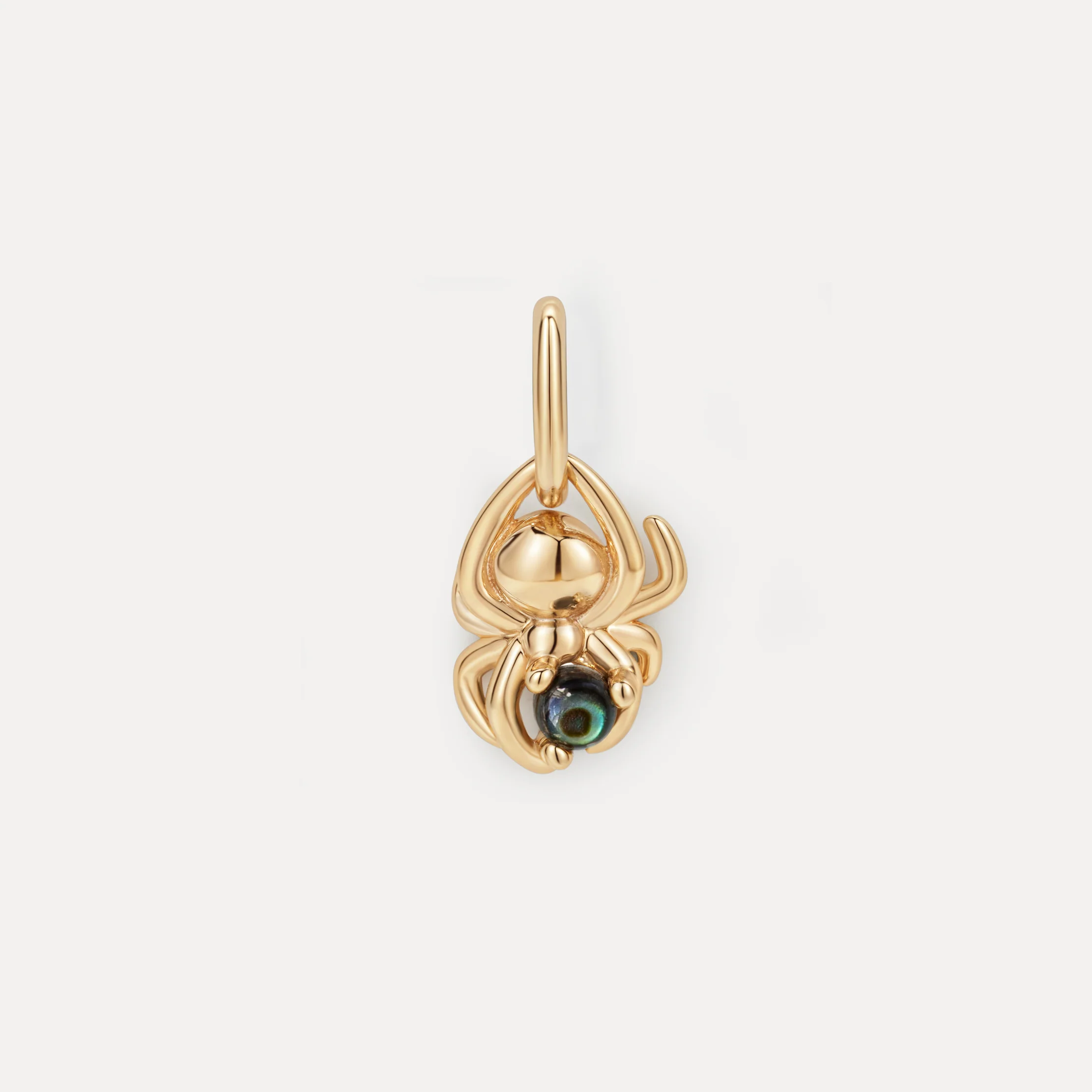 Spider's Treasure Charm