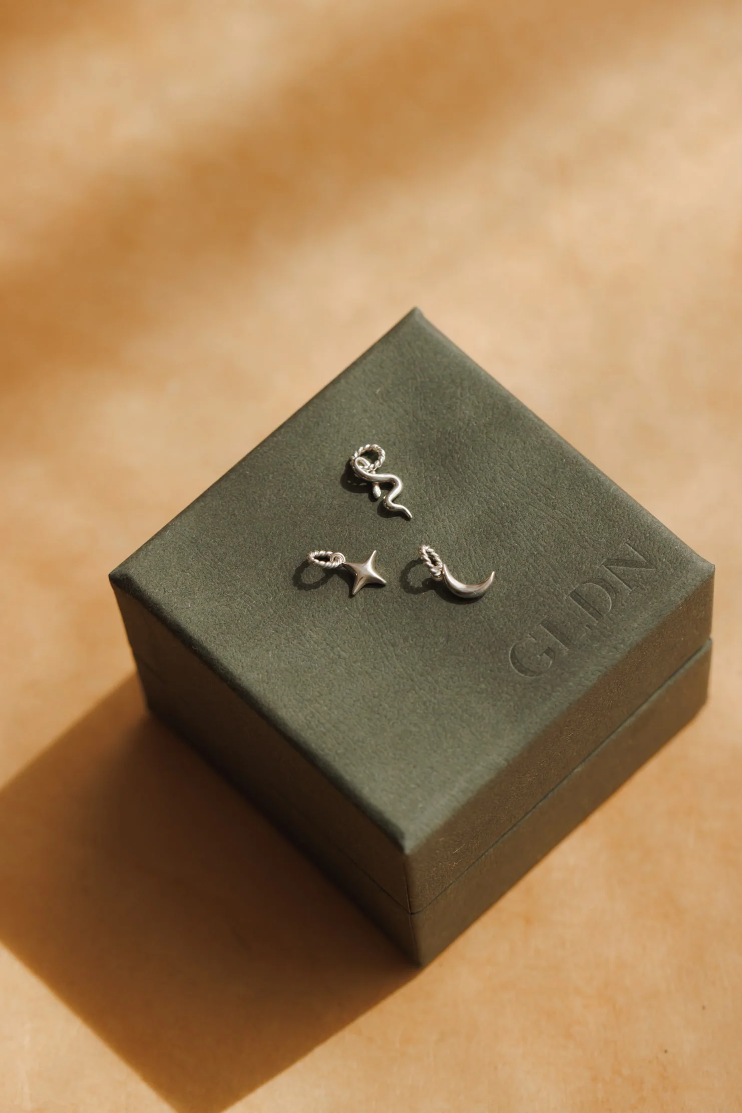 Snake Charm - Image 4
